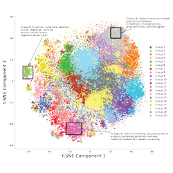 big data